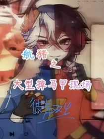 航猪之大型掉马甲现场