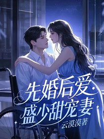 先婚后爱：盛少甜宠妻