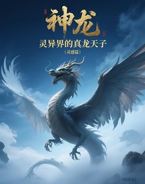 灵异界的真龙天子（灵感篇）