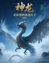 灵异界的真龙天子（灵感篇）