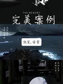 完美案例