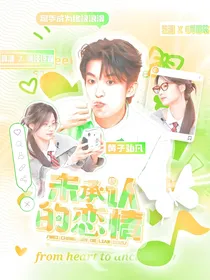 综综艺：未承认的恋情