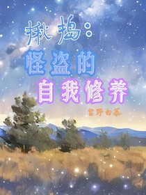揪捣：怪盗的自我修养