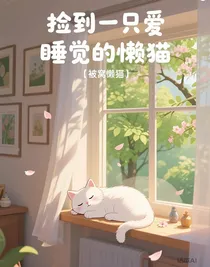 捡到一只爱睡觉的懒猫