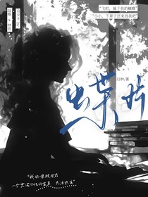 蝶片