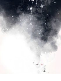 盛夏偶遇