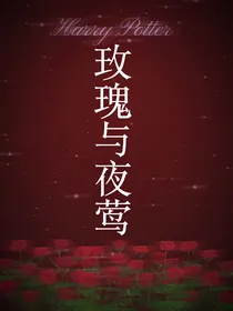 HP同人：玫瑰与夜莺