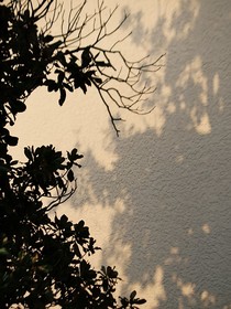 罪愿手记