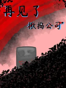 再见了，揪捣公司