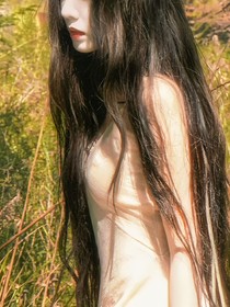 HP：荼靡之花