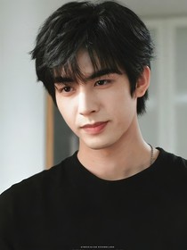 综影视：美人不按套路出牌