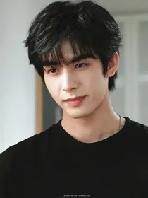 综影视：美人不按套路出牌