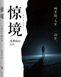 惊境