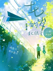 十七岁的北极星