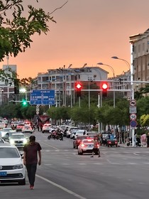 画笔下的盛夏光年