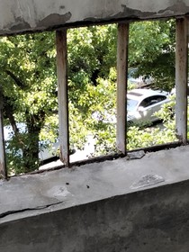 生长痛，乱社