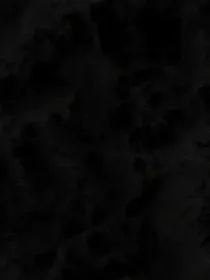 TNT：你的温柔学长快领走
