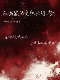 红与黑的交织共缠梦