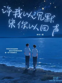 许我以沉默宋你以回声