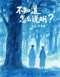 不知道该怎么说明