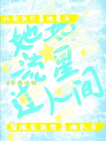 她如流星过人间