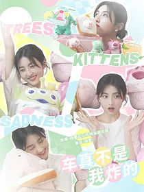 开端：车真不是我炸的