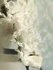 未锈