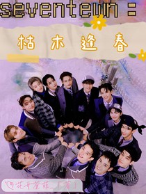 seventeen：枯木逢春
