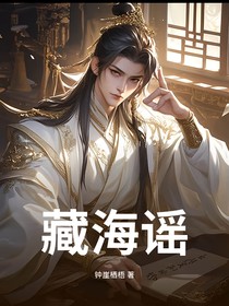 藏海谣