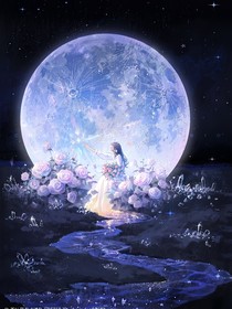 瓢猫的一百万个故事