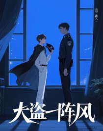 大盗一阵风