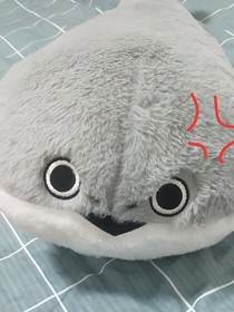 被前主人抛弃过后的历险记