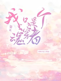 第五：我只是个魂穿者