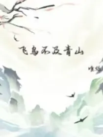 飞鸟不及青山