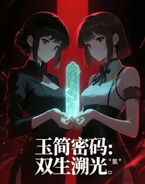 玉简密码：双生溯光