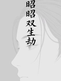 昭昭双生劫