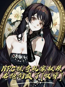 NPC掠夺玩家权限后他们疯了（快穿）
