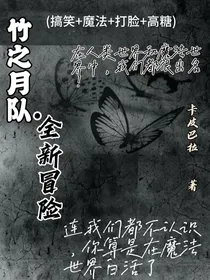 竹之月队之全新冒险