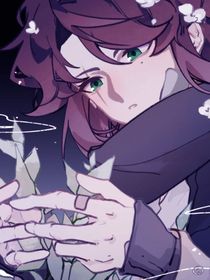 乐高幻影忍者：人非草木