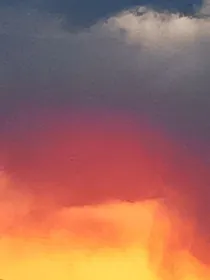 云之羽：桃（逃）之夭夭