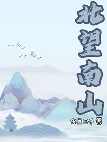 北望南山