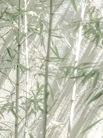 莫笑离