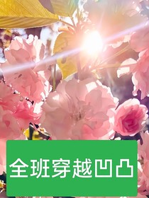 全班穿越到凹凸