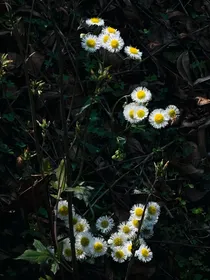 沉存