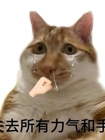 詞不达誼