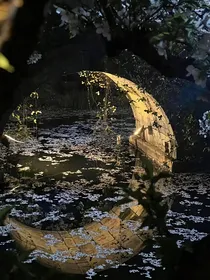 幕夜微雨