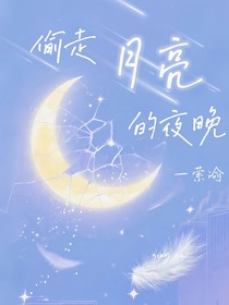 偷走月亮的夜晚