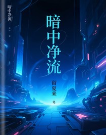 暗中净流