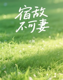 宿敌不可妻