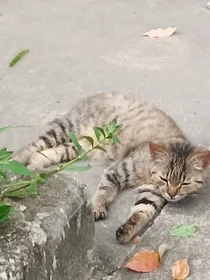 综影视梦途